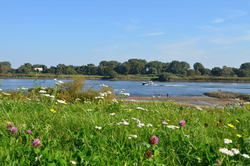 Elbblick Neuengamme